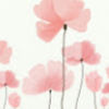 naturevibes029